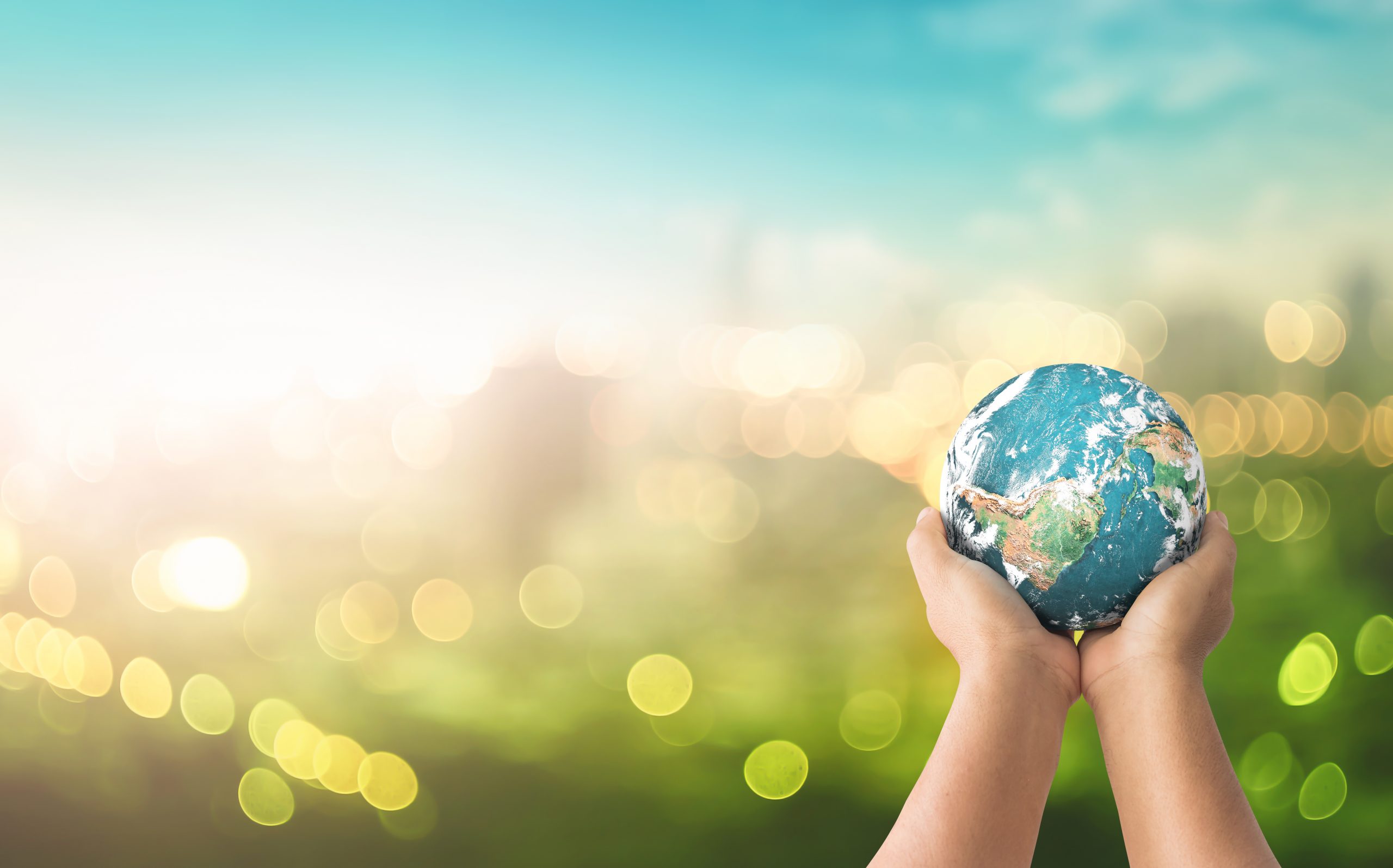 person holding globe